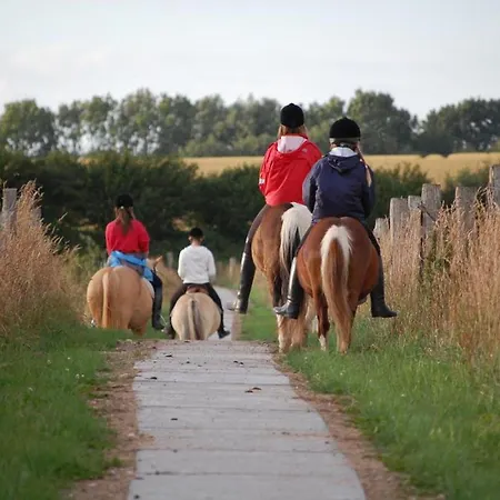 Auf Dem Ferienhof Sell