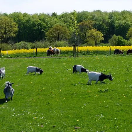 Auf Dem Ferienhof Sell Farm stay Stoltebull